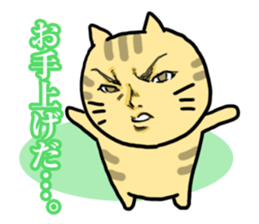 Handsome Cats Sticker. sticker #1715009