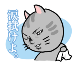 Handsome Cats Sticker. sticker #1715014