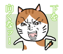 Handsome Cats Sticker. sticker #1715020