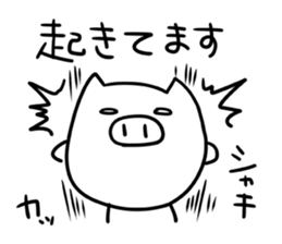 Amusing white pig sticker #1717557