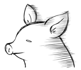 Amusing white pig sticker #1717582