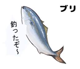 RealFish sticker #1721226