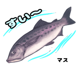 RealFish sticker #1721246