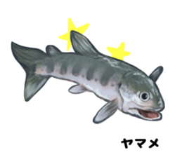 RealFish sticker #1721247