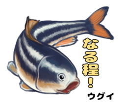 RealFish sticker #1721258