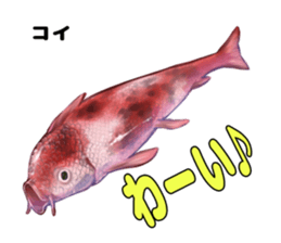 RealFish sticker #1721259