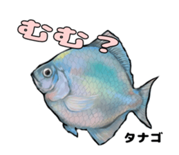 RealFish sticker #1721260