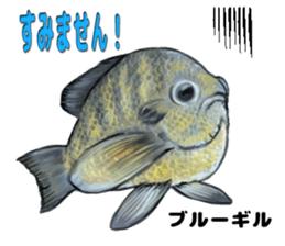 RealFish sticker #1721263