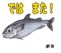 RealFish sticker #1721264