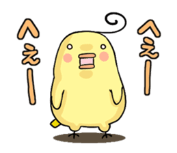 Daily chick's sticker #1732062
