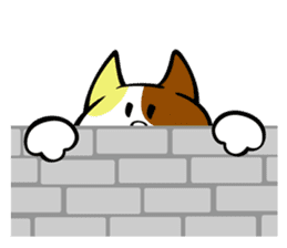 Cat of Tamayura Tama-chan sticker #1735451