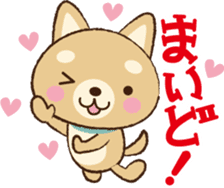 Cutie Dogs Osakan accent part1 sticker #1737163