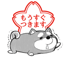 Japanese Hanko Dogs&Cat sticker #1737966