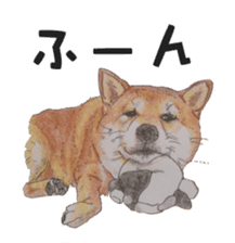 Favorite parts of SHIBAINU sticker #1739043