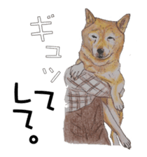 Favorite parts of SHIBAINU sticker #1739051