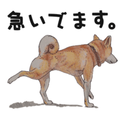 Favorite parts of SHIBAINU sticker #1739061