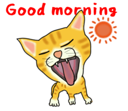 Cute tiger cat sticker #1739985