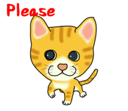 Cute tiger cat sticker #1740018