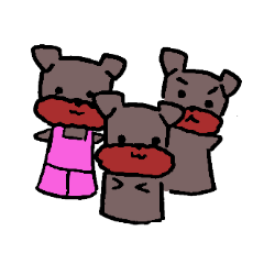 Yorkie Marron that floppy ears 2