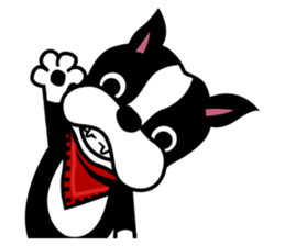 His name is Rob. sticker #1742465