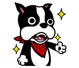 His name is Rob. sticker #1742467