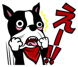 His name is Rob. sticker #1742468