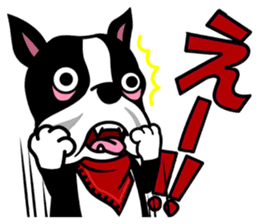 His name is Rob. sticker #1742468