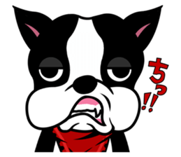 His name is Rob. sticker #1742476