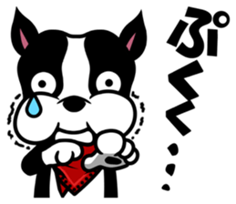 His name is Rob. sticker #1742479