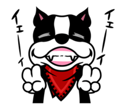 His name is Rob. sticker #1742482