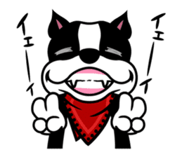 His name is Rob. sticker #1742482