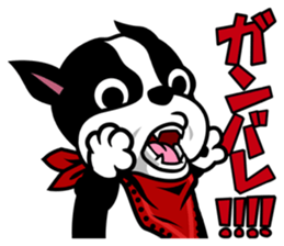 His name is Rob. sticker #1742483