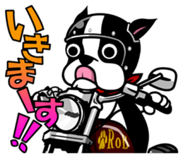 His name is Rob. sticker #1742484