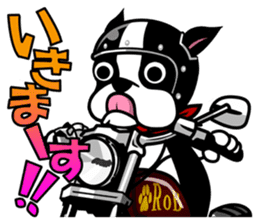 His name is Rob. sticker #1742484