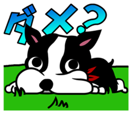 His name is Rob. sticker #1742490