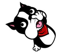 His name is Rob. sticker #1742497