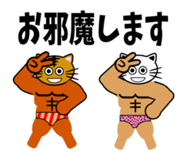 Macho cat dancer sticker #1747041