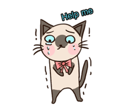 Siamese Cat@SK Farm (V.1) sticker #1749957