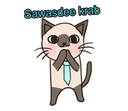Siamese Cat@SK Farm (V.1) sticker #1749969