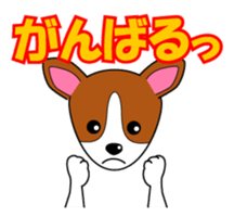 Jack Russell Terriers ver.02 sticker #1752989