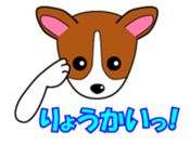 Jack Russell Terriers ver.02 sticker #1753005