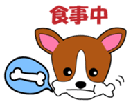 Jack Russell Terriers ver.02 sticker #1753009