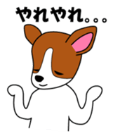 Jack Russell Terriers ver.02 sticker #1753022