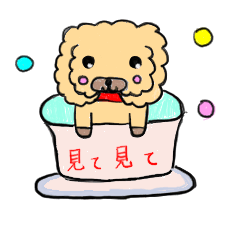 Cup poodle sticker