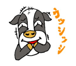 funny funny animals sticker #1755442