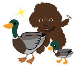 Team ToyPoo sticker #1756839