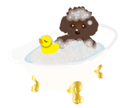 Team ToyPoo sticker #1756840