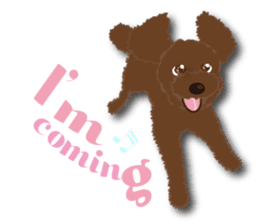 Team ToyPoo sticker #1756842