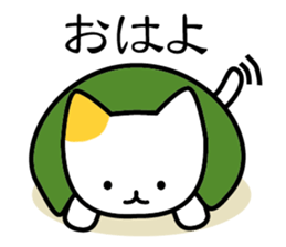 KAME NEKO turtle cat sticker #1756905
