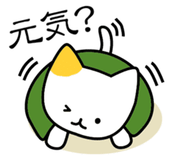 KAME NEKO turtle cat sticker #1756906